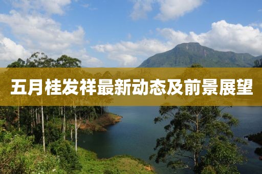五月桂发祥最新动态及前景展望