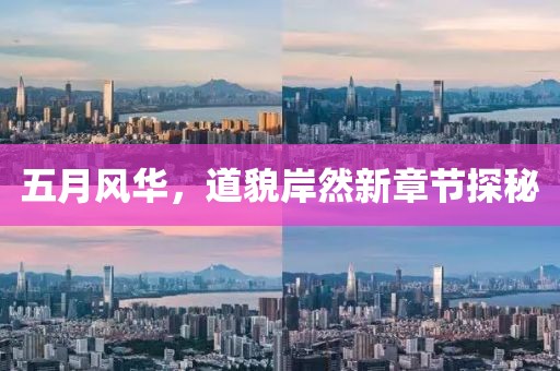 五月风华，道貌岸然新章节探秘