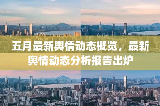 五月最新舆情动态概览，最新舆情动态分析报告出炉