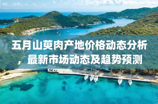 五月山萸肉产地价格动态分析，最新市场动态及趋势预测