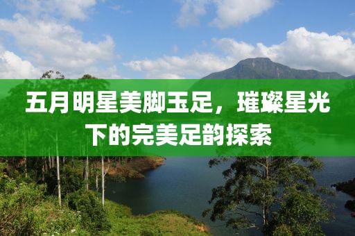 五月明星美脚玉足，璀璨星光下的完美足韵探索