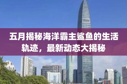 五月揭秘海洋霸主鲨鱼的生活轨迹，最新动态大揭秘