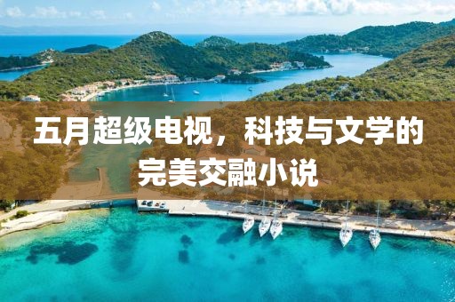 五月超级电视，科技与文学的完美交融小说