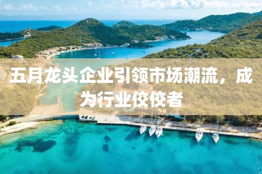 五月龙头企业引领市场潮流，成为行业佼佼者