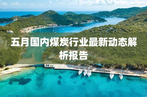五月国内煤炭行业最新动态解析报告
