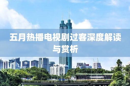 五月热播电视剧过客深度解读与赏析