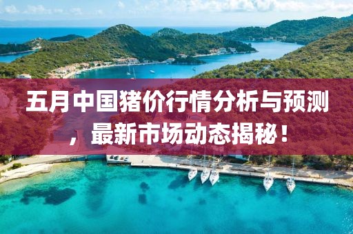 五月中国猪价行情分析与预测，最新市场动态揭秘！