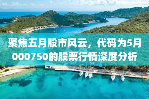 聚焦五月股市风云，代码为5月000750的股票行情深度分析