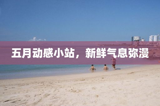 五月动感小站，新鲜气息弥漫