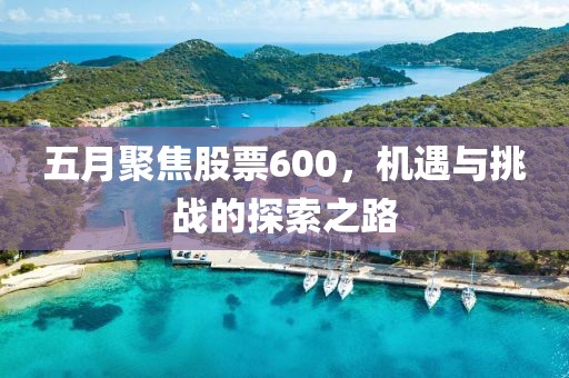 五月聚焦股票600，机遇与挑战的探索之路