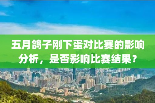 五月鸽子刚下蛋对比赛的影响分析，是否影响比赛结果？