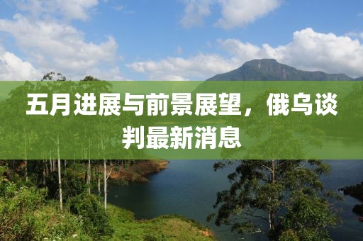 五月进展与前景展望，俄乌谈判最新消息