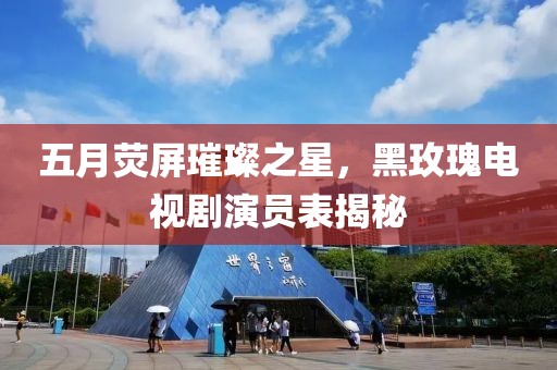 五月荧屏璀璨之星，黑玫瑰电视剧演员表揭秘
