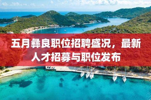 五月彝良职位招聘盛况，最新人才招募与职位发布