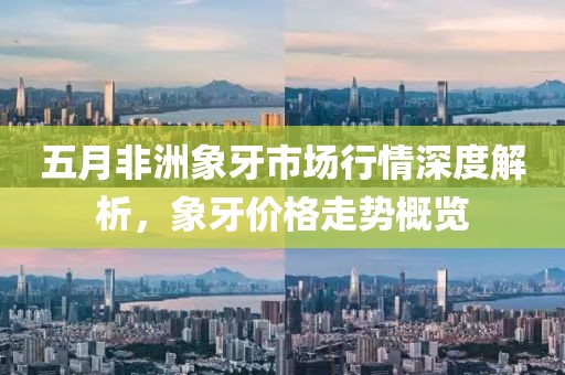 五月非洲象牙市场行情深度解析，象牙价格走势概览