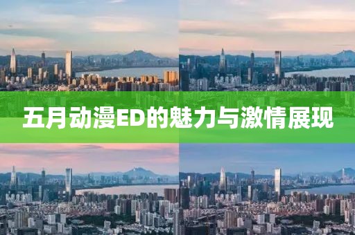 五月动漫ED的魅力与激情展现