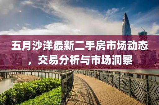 五月沙洋最新二手房市场动态，交易分析与市场洞察