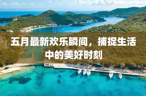 五月最新欢乐瞬间，捕捉生活中的美好时刻