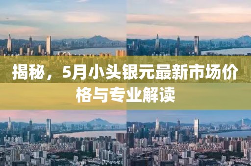 揭秘，5月小头银元最新市场价格与专业解读