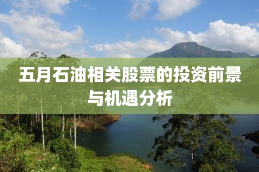 五月石油相关股票的投资前景与机遇分析