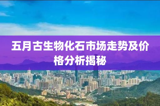 五月古生物化石市场走势及价格分析揭秘