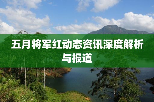 五月将军红动态资讯深度解析与报道