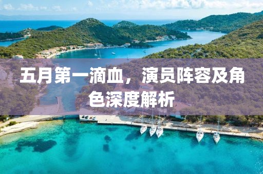 五月第一滴血，演员阵容及角色深度解析