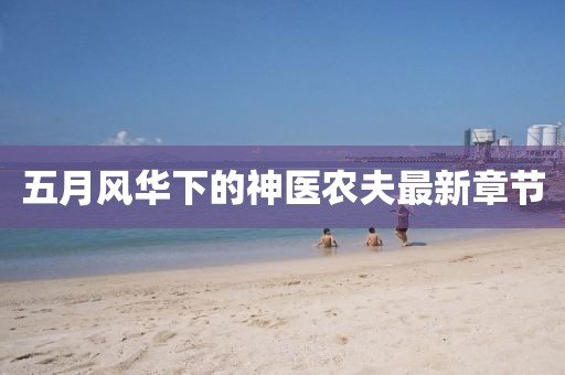 五月风华下的神医农夫最新章节