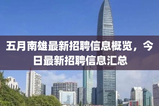 五月南雄最新招聘信息概览，今日最新招聘信息汇总