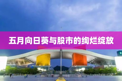 五月向日葵与股市的绚烂绽放