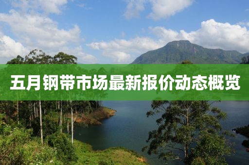 五月钢带市场最新报价动态概览