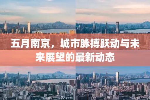 五月南京，城市脉搏跃动与未来展望的最新动态