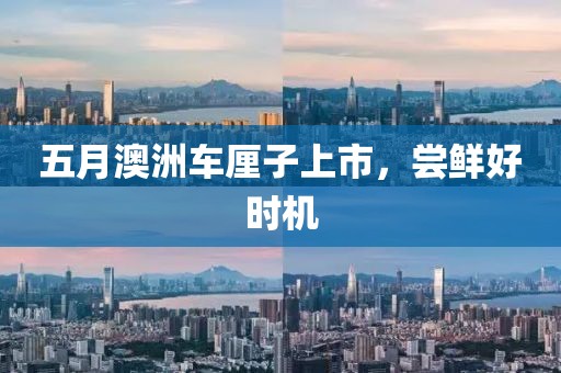 五月澳洲车厘子上市，尝鲜好时机