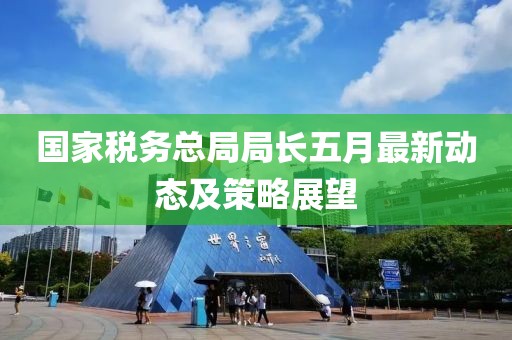 国家税务总局局长五月最新动态及策略展望