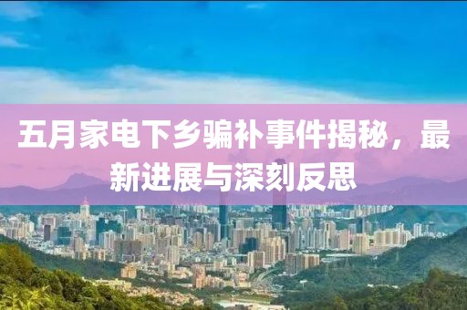 五月家电下乡骗补事件揭秘，最新进展与深刻反思