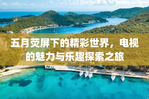 五月荧屏下的精彩世界，电视的魅力与乐趣探索之旅