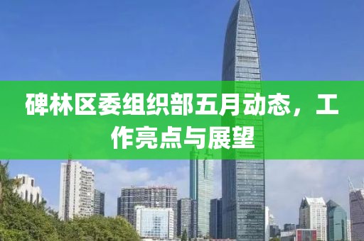 碑林区委组织部五月动态，工作亮点与展望
