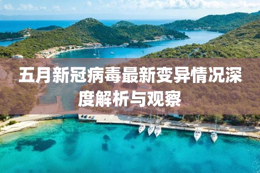 五月新冠病毒最新变异情况深度解析与观察