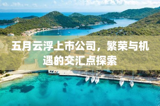 五月云浮上市公司，繁荣与机遇的交汇点探索