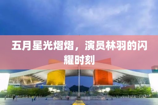 五月星光熠熠，演员林羽的闪耀时刻
