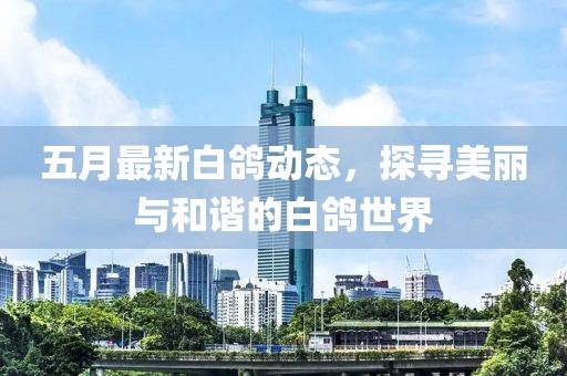 五月最新白鸽动态，探寻美丽与和谐的白鸽世界
