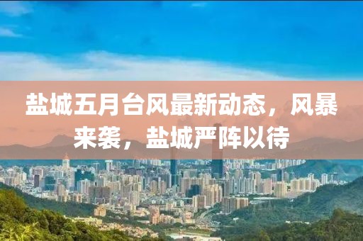 盐城五月台风最新动态，风暴来袭，盐城严阵以待