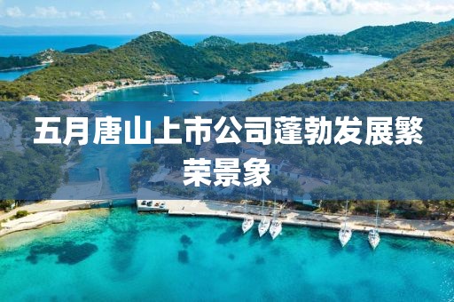 五月唐山上市公司蓬勃发展繁荣景象