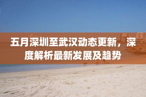 五月深圳至武汉动态更新，深度解析最新发展及趋势