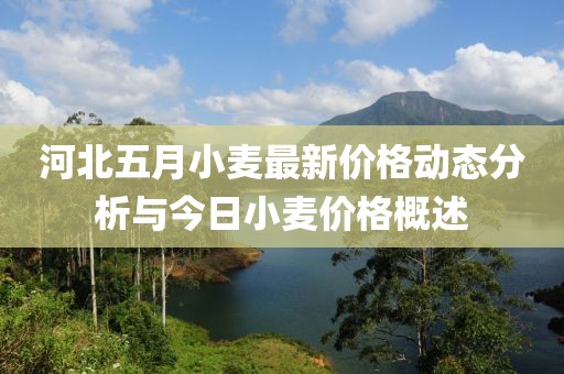 河北五月小麦最新价格动态分析与今日小麦价格概述