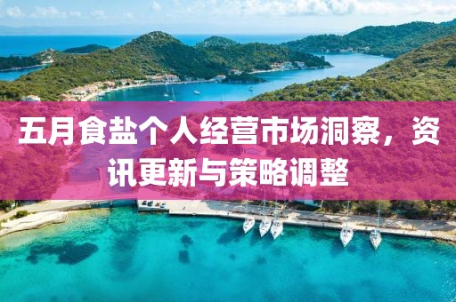 五月食盐个人经营市场洞察，资讯更新与策略调整