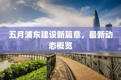 五月浦东建设新篇章，最新动态概览