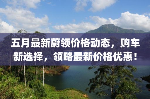 五月最新蔚领价格动态，购车新选择，领略最新价格优惠！