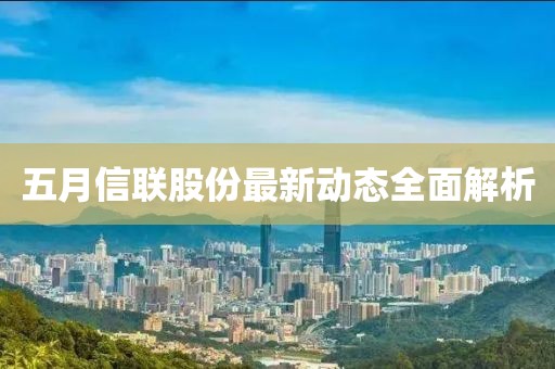 五月信联股份最新动态全面解析