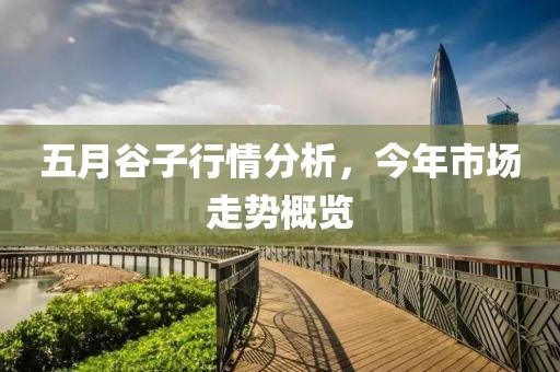 五月谷子行情分析，今年市场走势概览